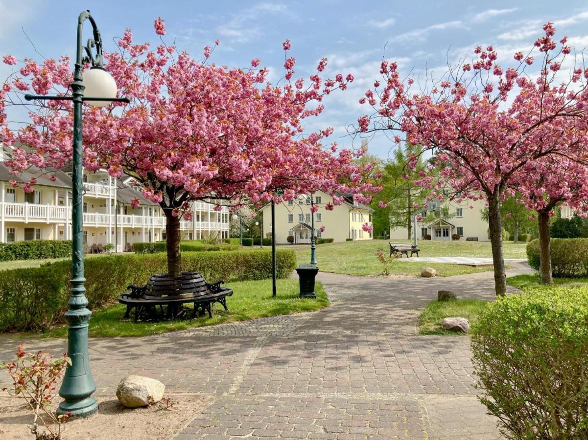 Apartmán Duenenpark Binz - Wg 40 "Treibgut" Exteriér fotografie