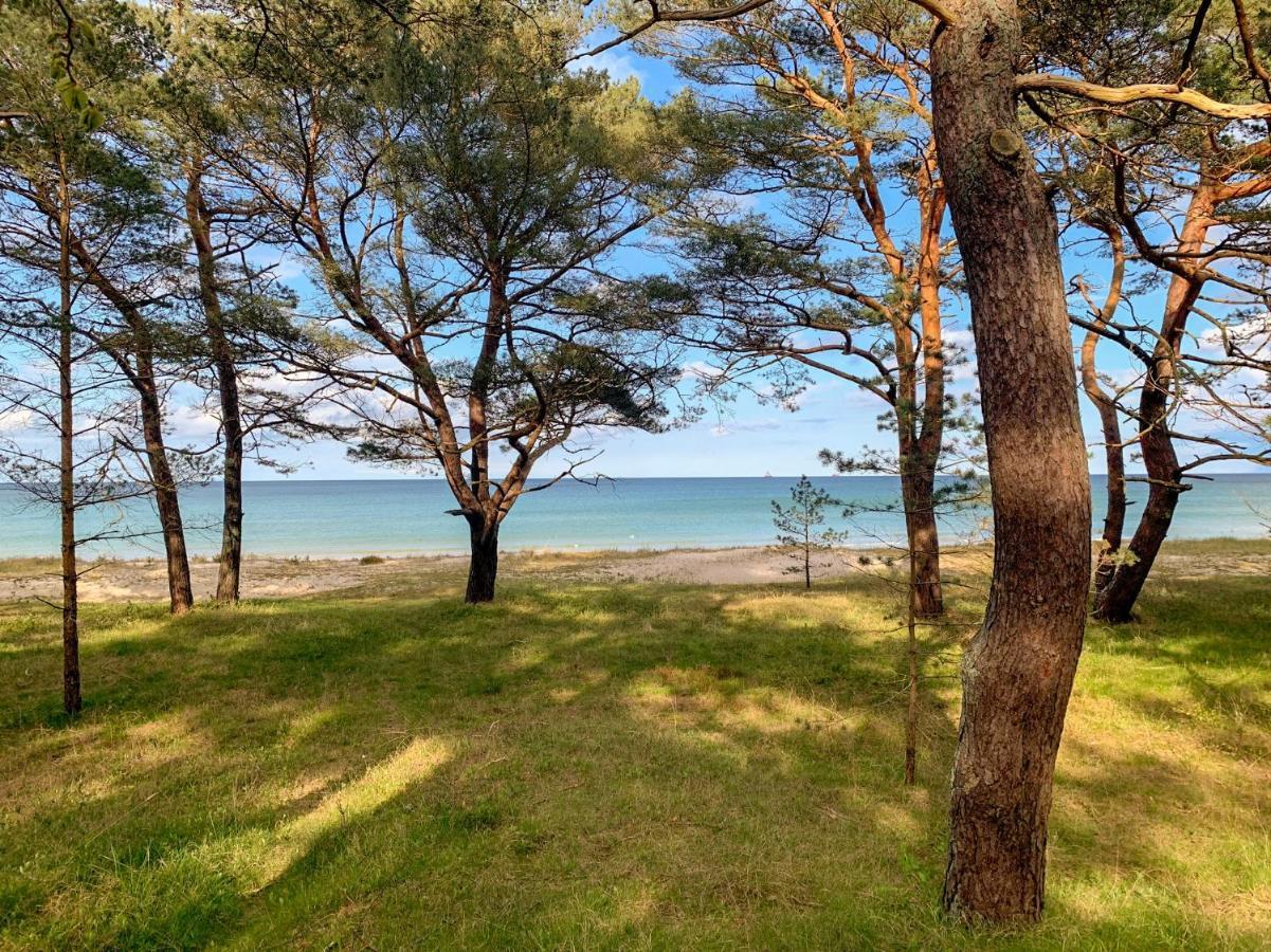 Apartmán Duenenpark Binz - Wg 40 "Treibgut" Exteriér fotografie